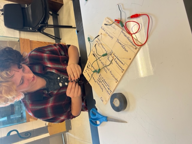 Students are learning about electricity in Science class